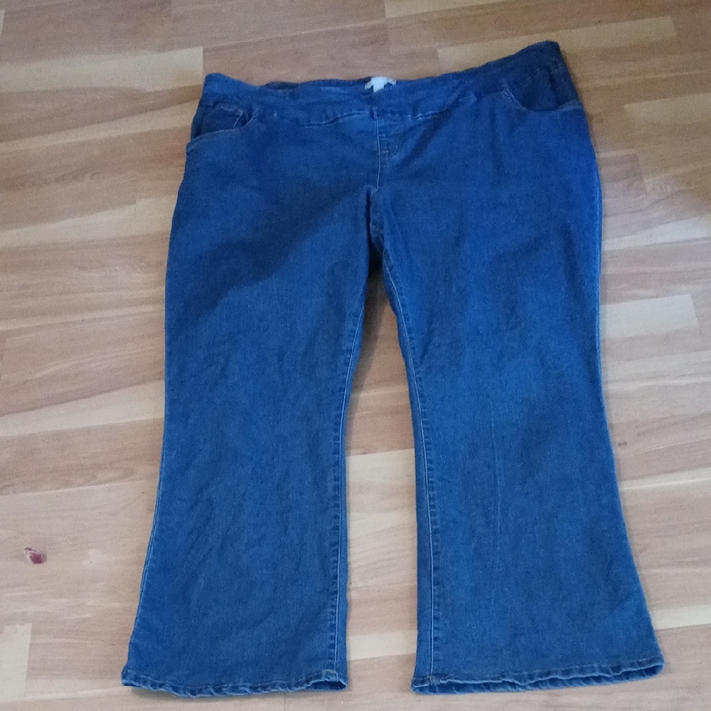 Woman Within Plus Size Women's Blue Jeans